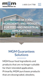 Mobile Screenshot of mgmbusinesspartners.com