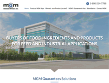 Tablet Screenshot of mgmbusinesspartners.com